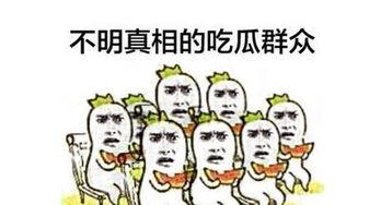 吃瓜群众娱乐大百科视频,揭秘娱乐圈幕后故事与趣味瞬间